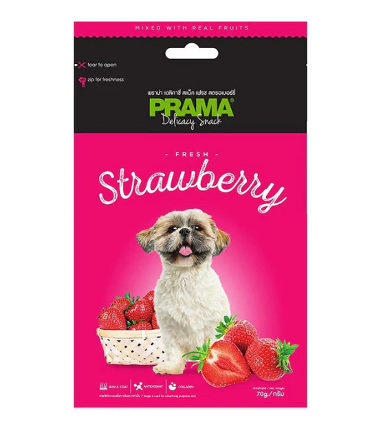 PRAMA Delicacy Snack Classic Fruits Dog Treats 70g