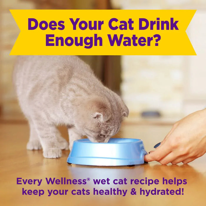 Wellness Appetizing Entrees Flaked Tuna, Mackerel & Shrimp Adult Pouch Cat Food 1.4oz X8