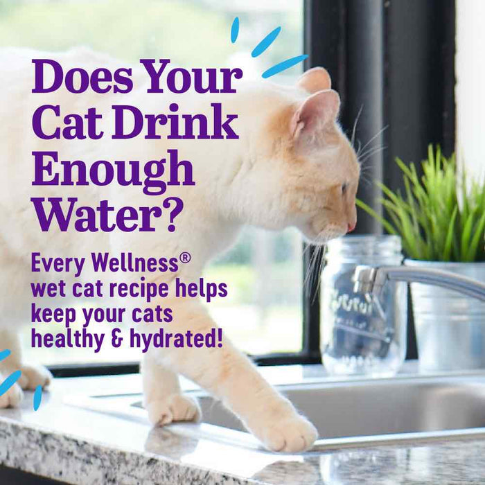 Wellness Appetizing Entrees Flaked Tuna Adult Pouch Cat Food 1.4oz X8