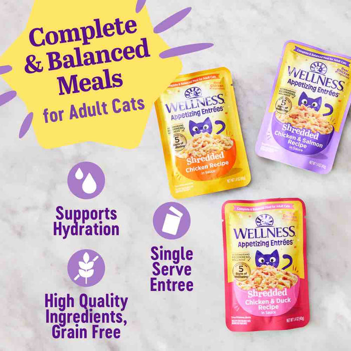 Wellness Appetizing Entrees Shredded Chicken & Duck Adult Pouch Cat Food 1.4oz X8