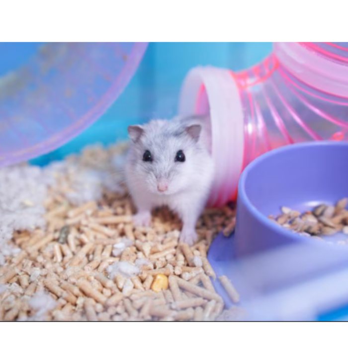 Marukan Clean Toilet Paper Sand for Hamster 300g