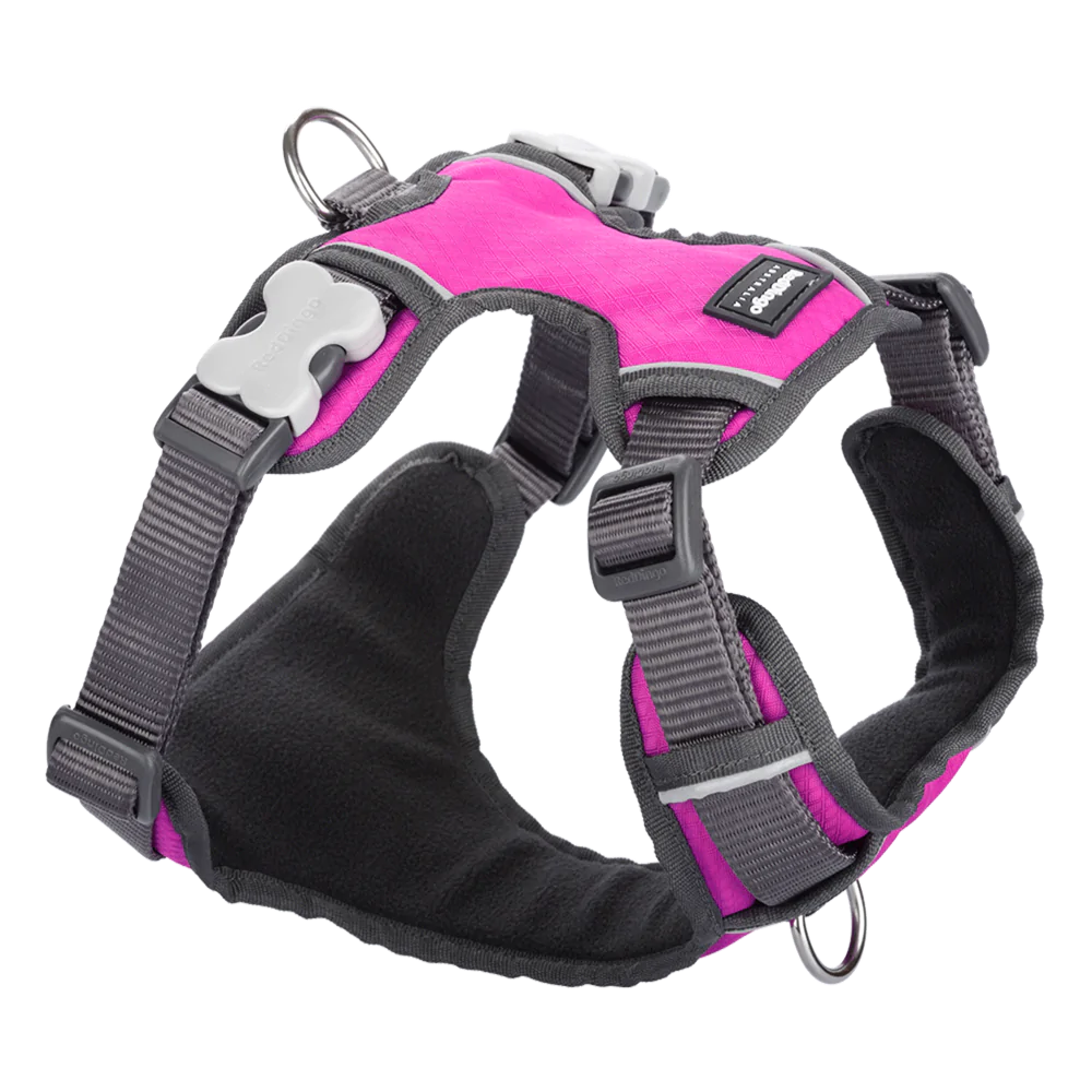 Red Dingo Padded Harness Hot Pink XL