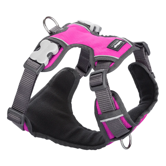 Red Dingo Padded Harness Hot Pink XL
