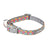 FuzzYard Pop Dog Collar (2 Sizes)