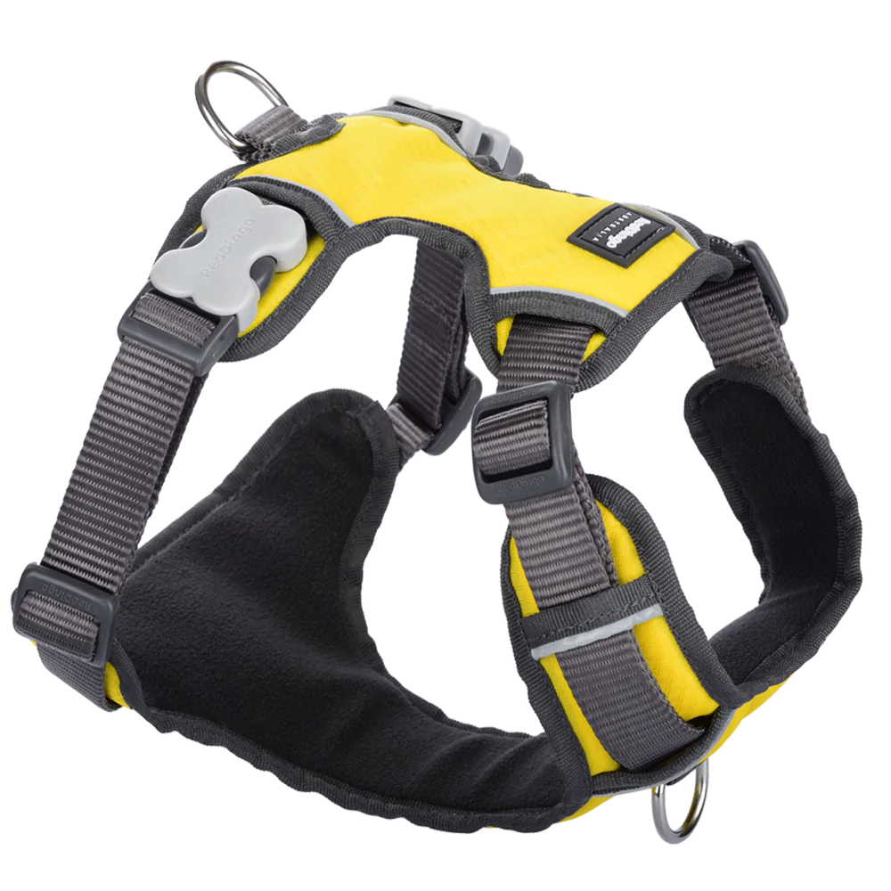 Red Dingo Padded Harness Yellow S