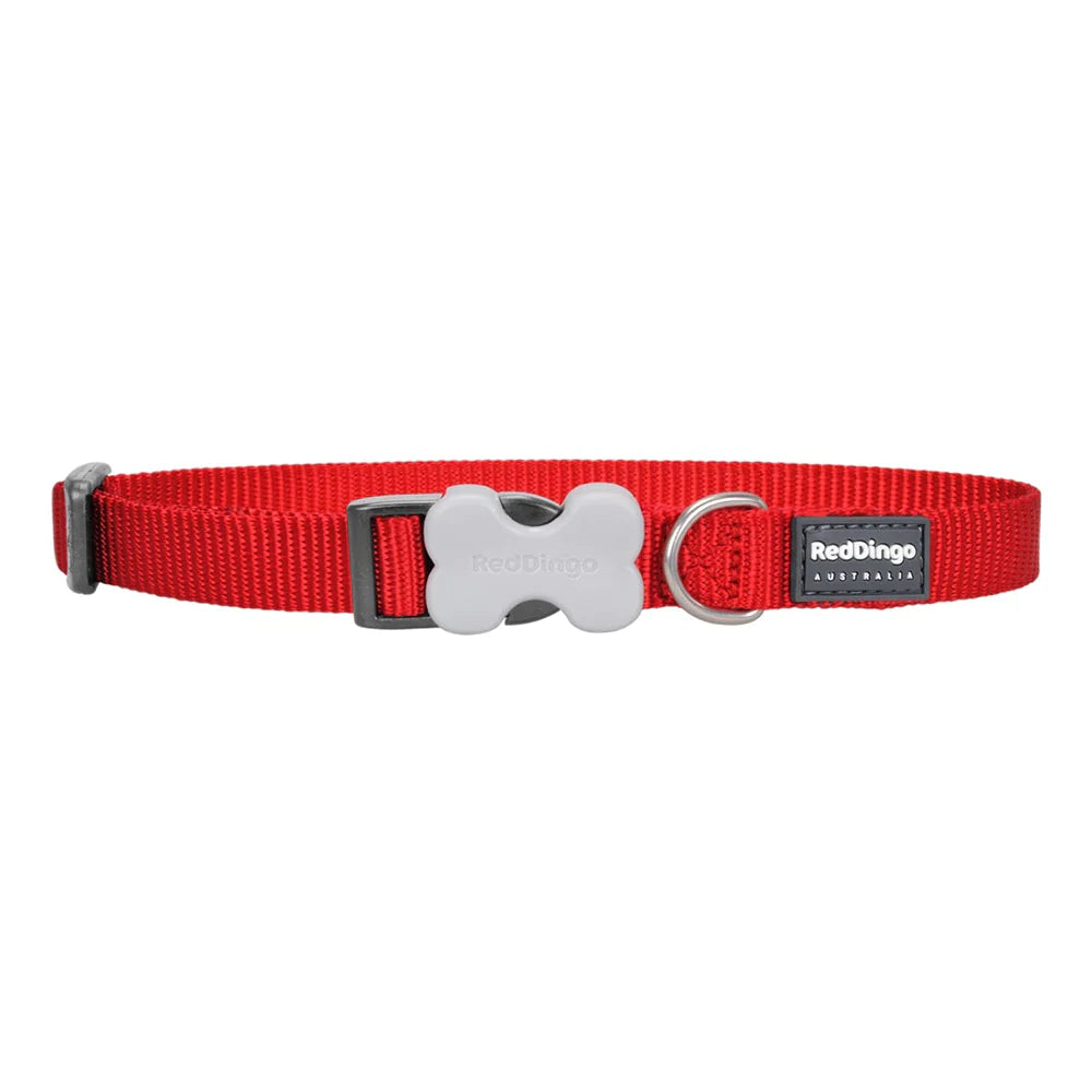 Red Dingo Dog Collar Plain - Classic Red Small 12mm (20-32cm)