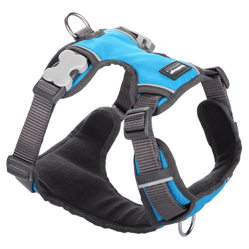 Red Dingo Padded Harness Turquoise XL