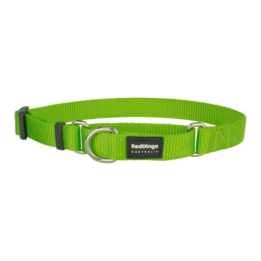Red Dingo Dog Collar Martingale - Classic Lime Small (21-33cm)