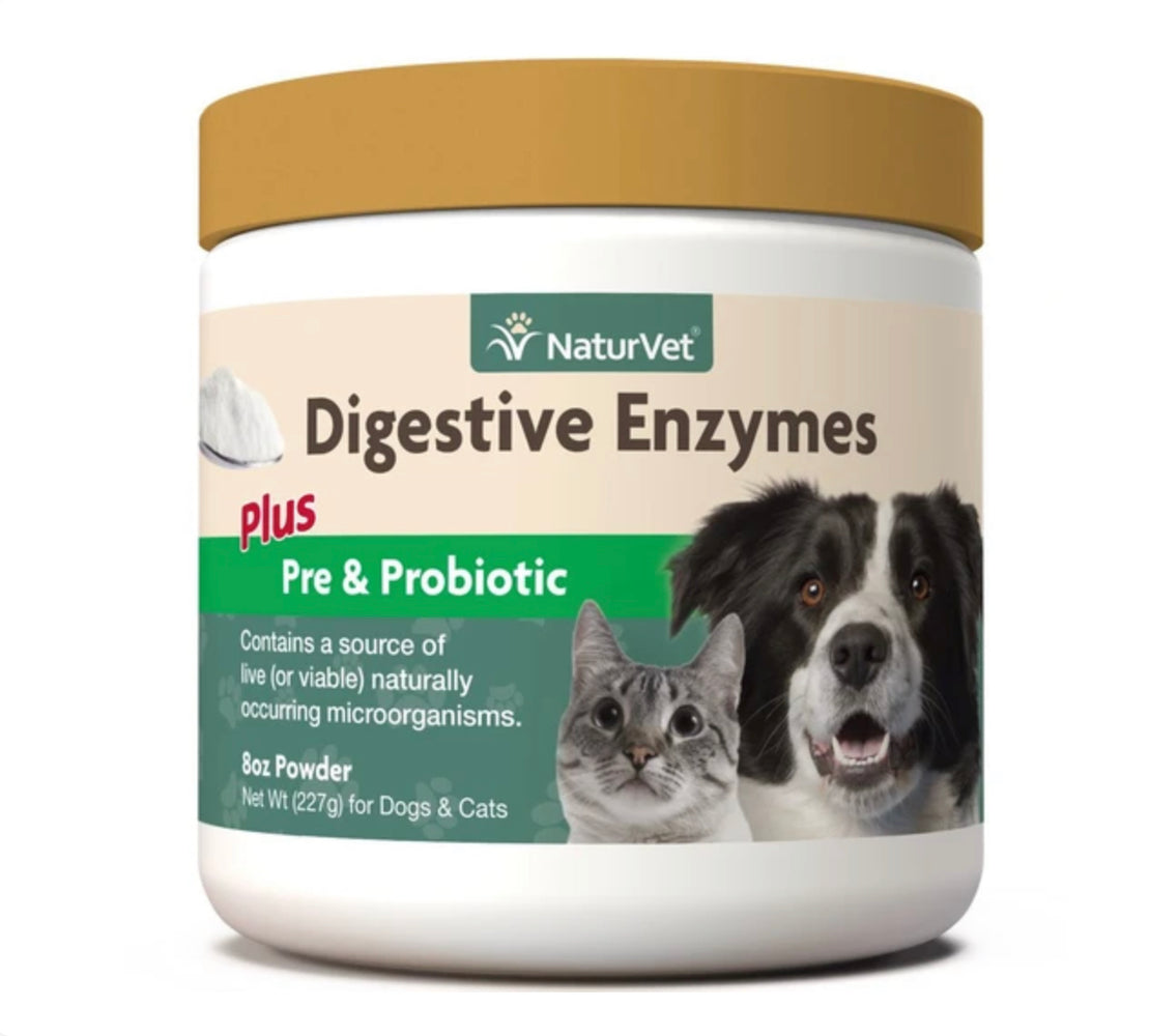 NaturVet Digestive Enzymes Plus Pre & Probiotics Powder [Dogs & Cats] 8oz