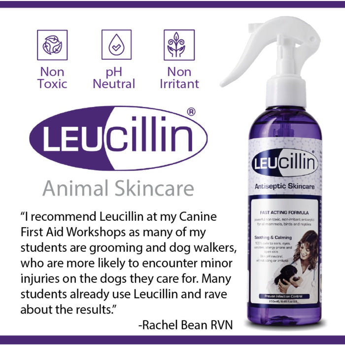 Leucillin Antiseptic Skincare for Cats & Dogs (3 Sizes)