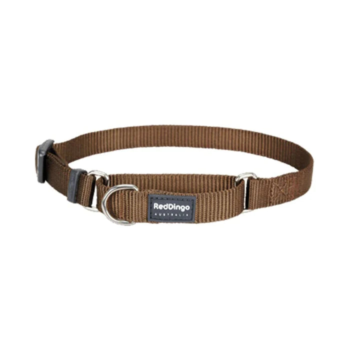 Red Dingo Dog Collar Martingale - Classic Brown 20mm (32-47cm)