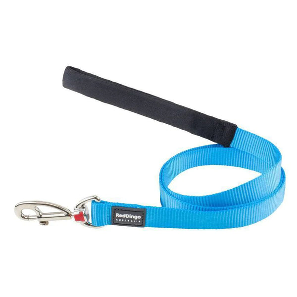 Red Dingo Dog Fixed Lead Plain - Classic Turquoise 20mm (1.2m)