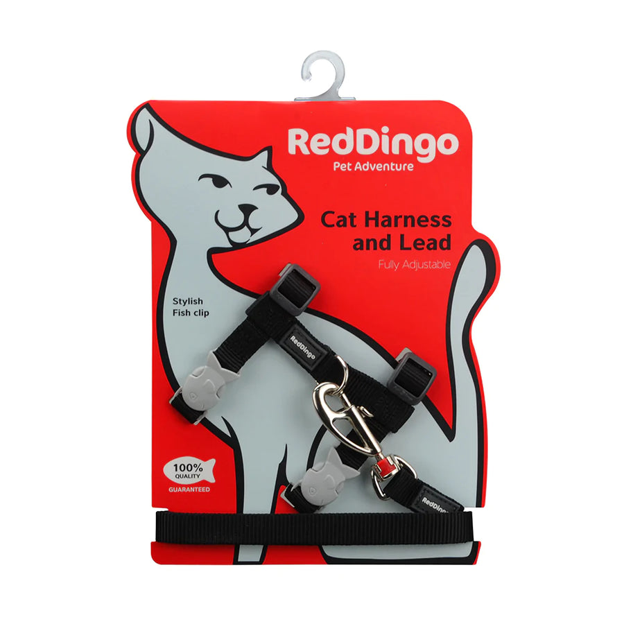 Red Dingo Cat Harness And Lead Combo - Classic Black