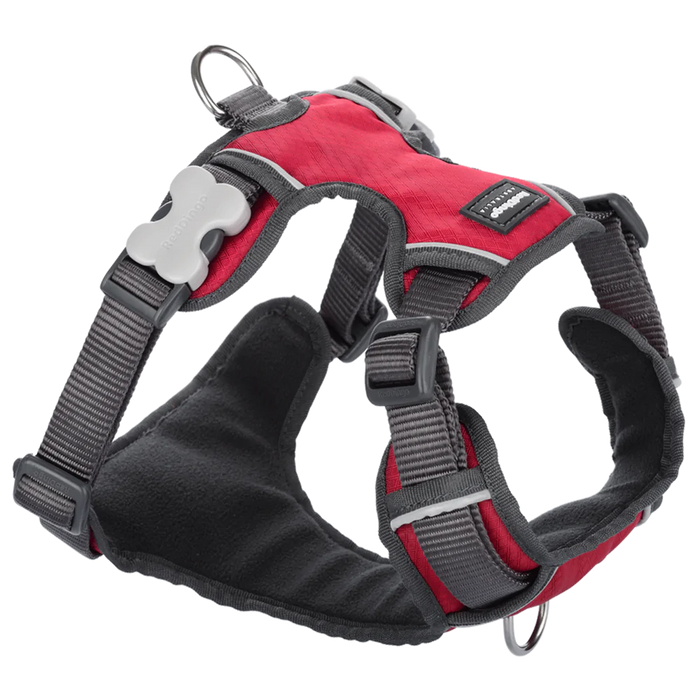 Red Dingo Padded Harness Red M