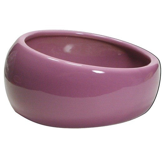 Living World Ergonomic Dish Pink/Ceramic 120ml