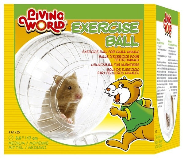 Living World Exercise Ball with Stand Medium