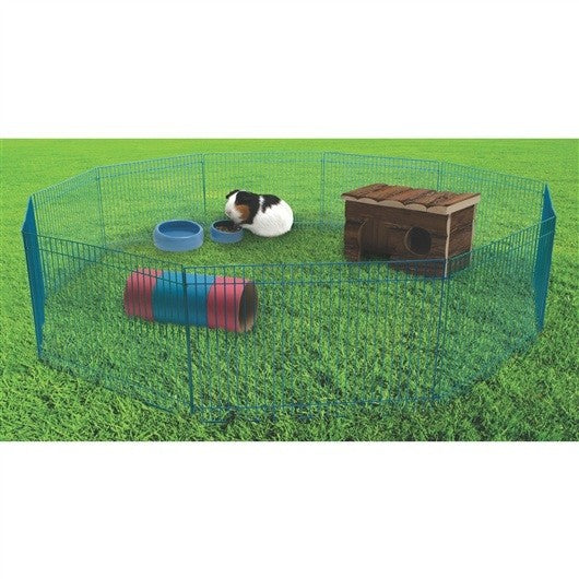 Living World Critter Playtime