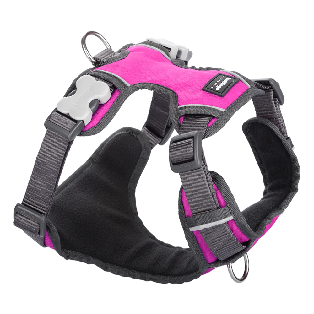 Red Dingo Padded Harness Hot Pink XS