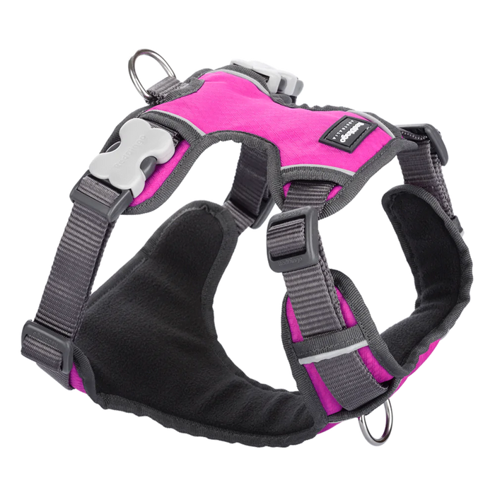 Red Dingo Padded Harness Hot Pink XS