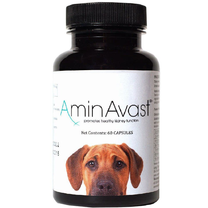 AminAvast® Kidney Health Supplement (60 Capsules) - 2 Type