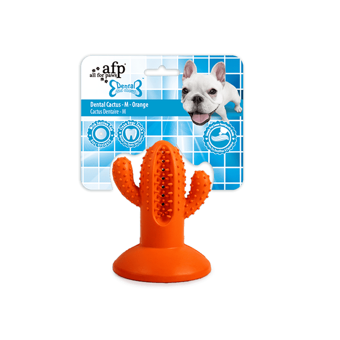 All For Paws Dental Chews Medium Cactus Orange