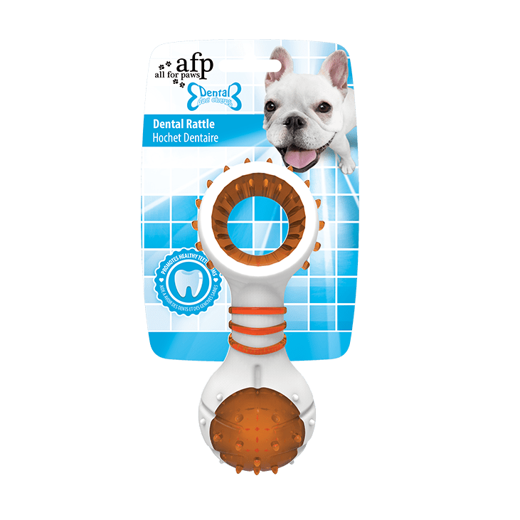 All For Paws Dental Chews Dental Rattle Orange