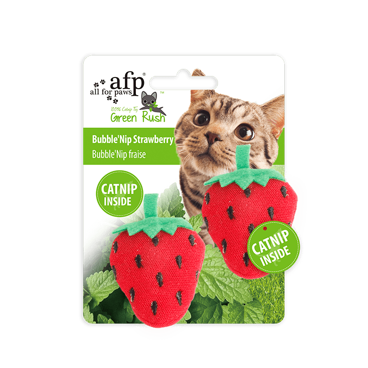All For Paws Green Rush Bubble'Nip Strawberry