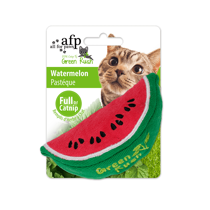 All For Paws  Green Rush Watermelon