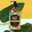 Petholic Honey Shine Moisturizing Pet Shampoo (2 Sizes)