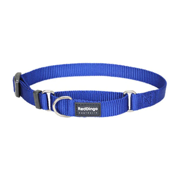 Red Dingo Dog Collar Martingale - Classic Blue 15mm (24-36cm)
