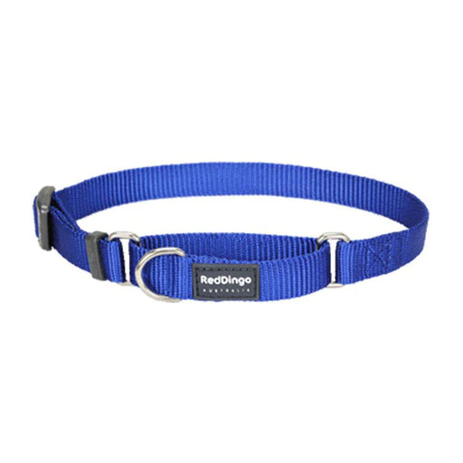 Red Dingo Dog Collar Martingale - Classic Blue 15mm (24-36cm)