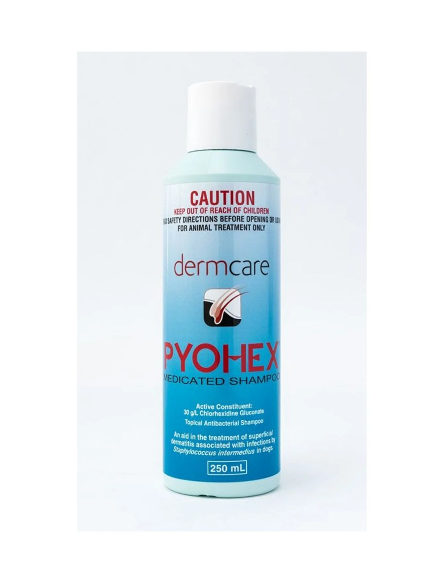 Dermcare Vet Pyohex Medicated Dog Shampoo (2 Sizes)