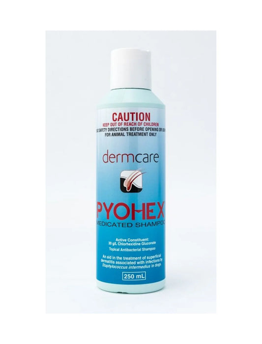 Dermcare Vet Pyohex Medicated Dog Shampoo (2 Sizes)