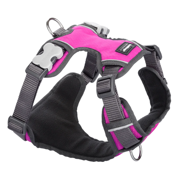 Red Dingo Padded Harness Hot Pink S