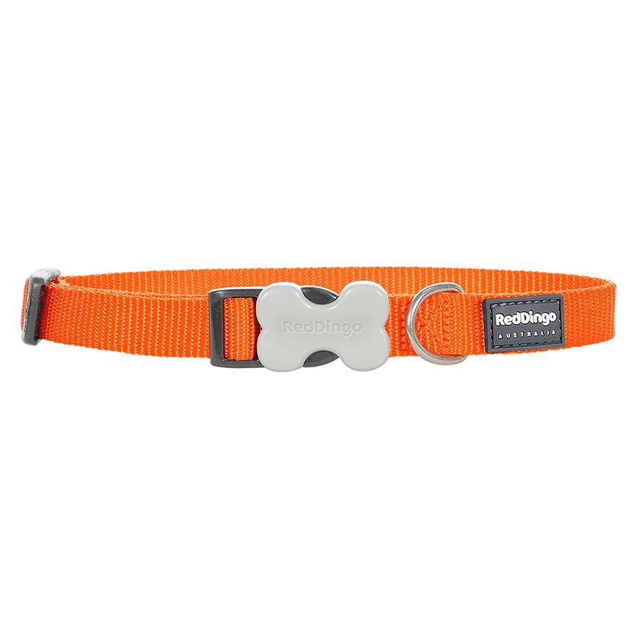Red Dingo Dog Collar Plain - Classic Orange 20mm (31-47cm)
