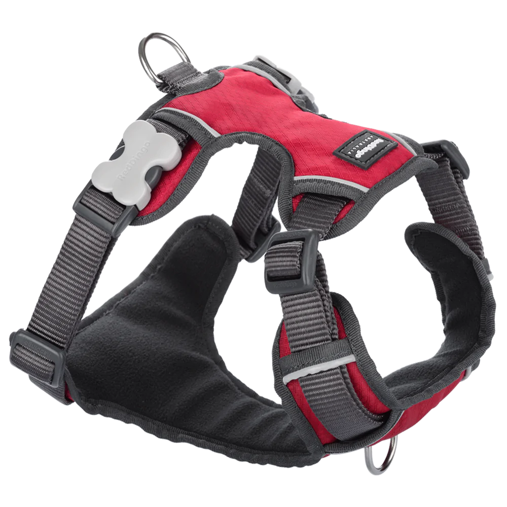 Red Dingo Padded Harness Red S