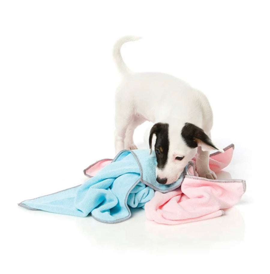 FuzzYard Microfibre Drying Towel for Puppies