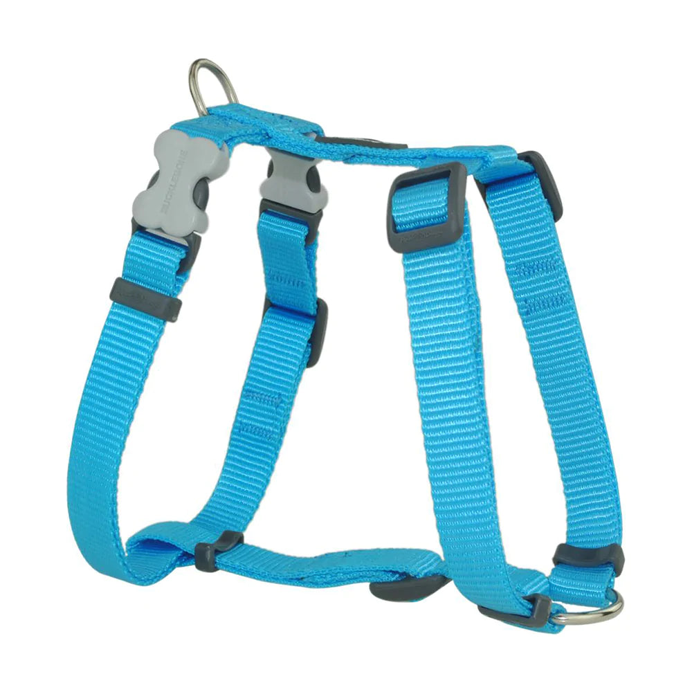 Red Dingo Dog Plain Harness Classic - Large Turquoise