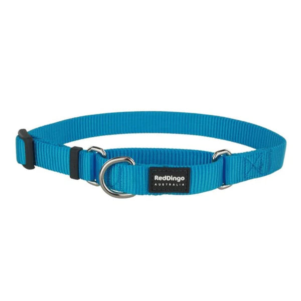 Red Dingo Dog Collar Martingale - Classic Turquoise 25mm (41-63cm)