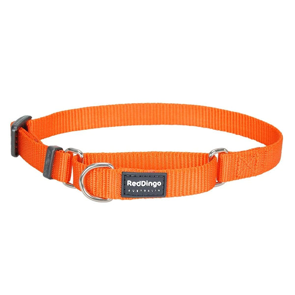 Red Dingo Dog Collar Martingale - Classic Orange 20mm (32-47cm)