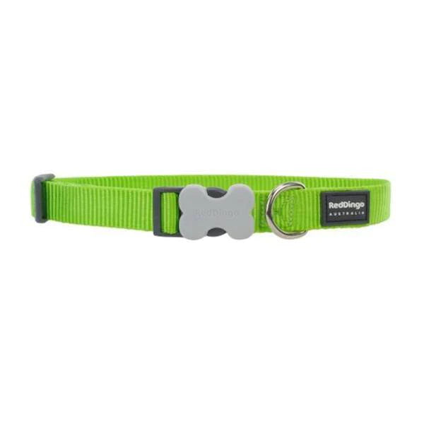 Red Dingo Dog Collar Plain - Classic Lime Green 20mm (31-47cm)