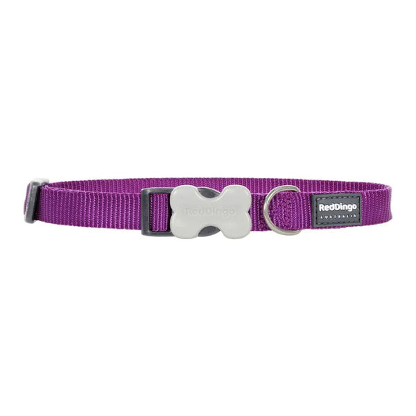 Red Dingo Dog Collar Plain - Classic Purple Large (41-63cm)
