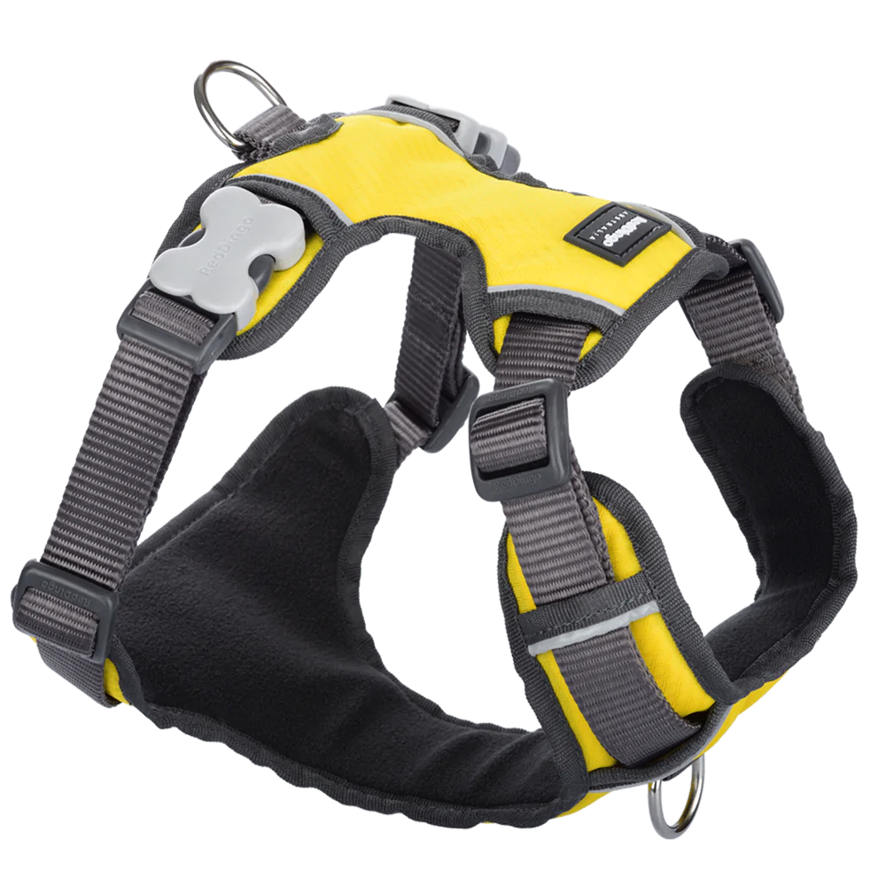 Red Dingo Padded Harness Yellow M