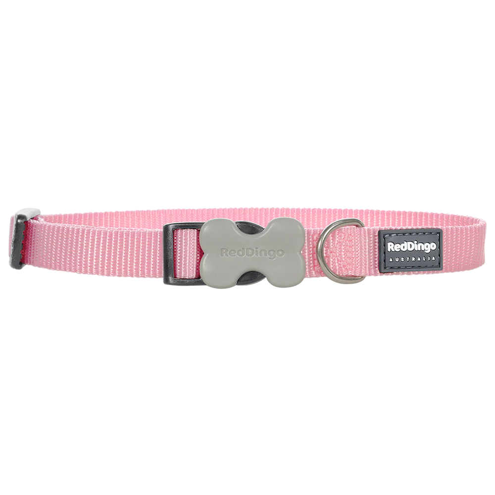 Red Dingo Dog Collar Plain - Classic Pink 20mm (31-47cm)