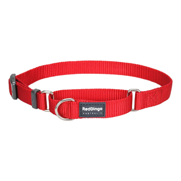 Red Dingo Dog Collar Martingale - Classic Red 25mm (41-63cm)