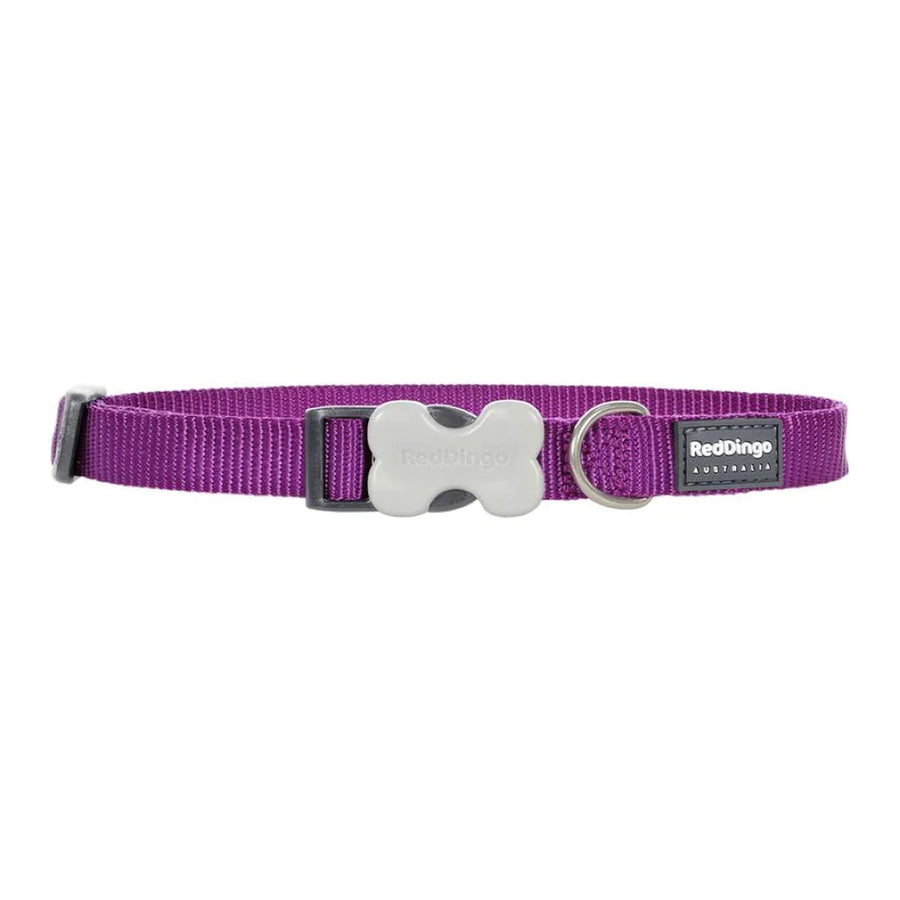 Red Dingo Dog Collar Plain - Classic Purple Small 12mm (20-32cm)