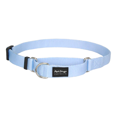 Red Dingo Dog Collar Martingale - Classic Light Blue Small (21-33cm)