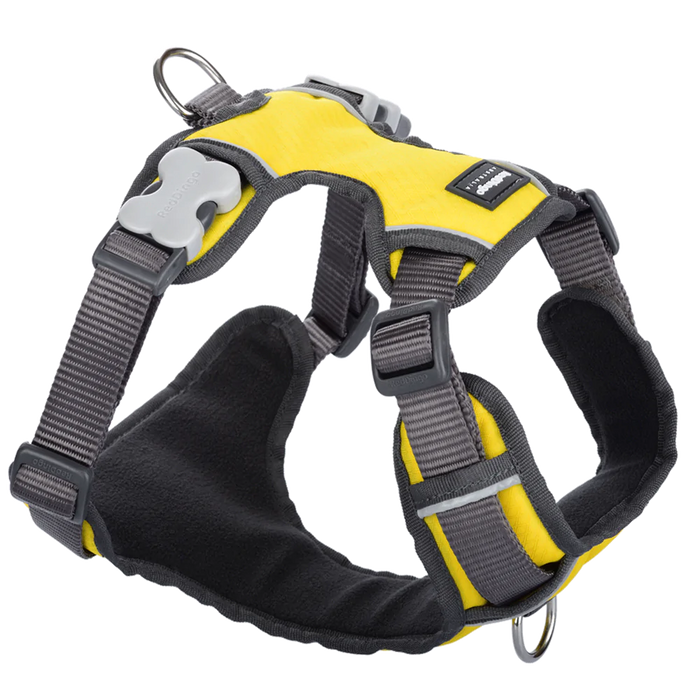 Red Dingo Padded Harness Yellow XS