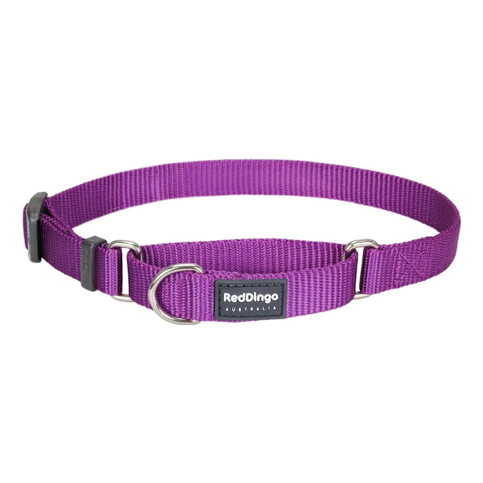 Red Dingo Dog Collar Martingale - Classic Purple 15mm (24-36cm)