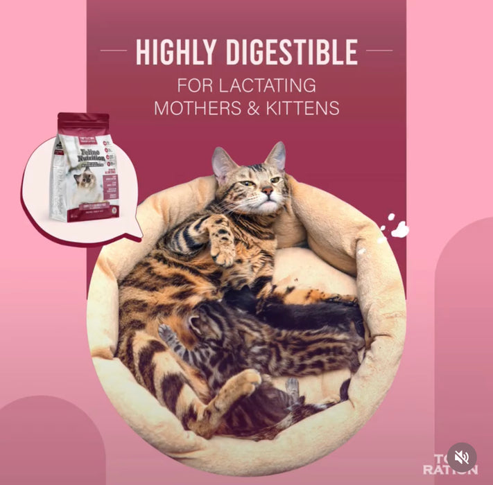 Top Ration Premium - All Life Stages Cat Dry Food 1.8kg